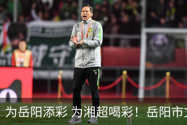 为岳阳添彩 为湘超喝彩！岳阳市文明观赛倡议书来了