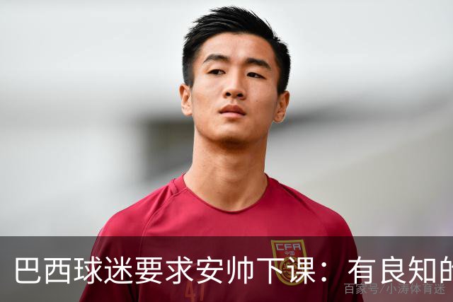 巴西球迷要求安帅下课：有良知的话今晚就辞职 瓜帅帮帮我们吧